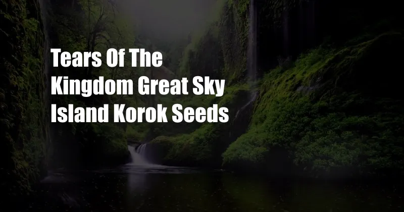 Tears Of The Kingdom Great Sky Island Korok Seeds