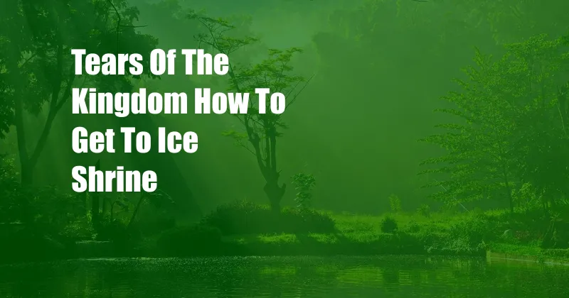 Tears Of The Kingdom How To Get To Ice Shrine