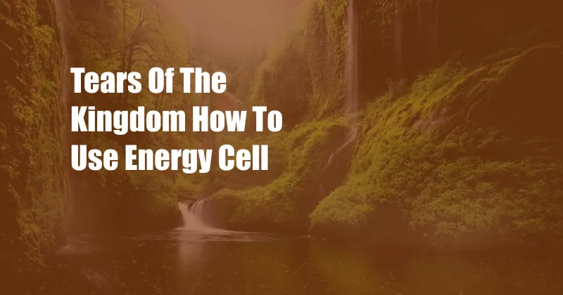 Tears Of The Kingdom How To Use Energy Cell
