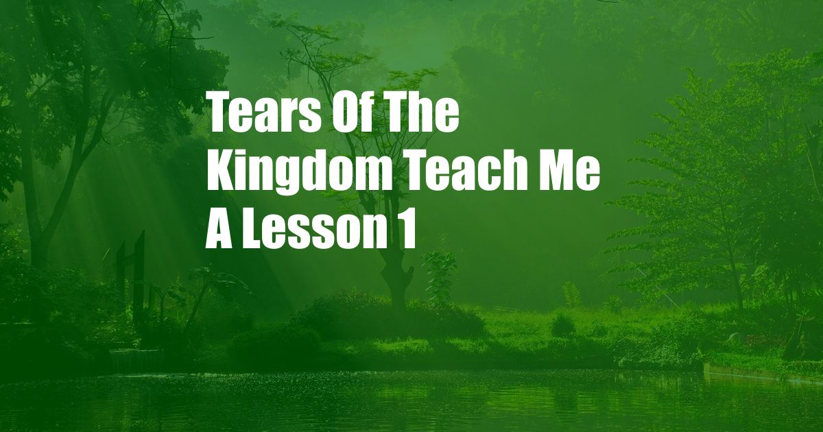 Tears Of The Kingdom Teach Me A Lesson 1