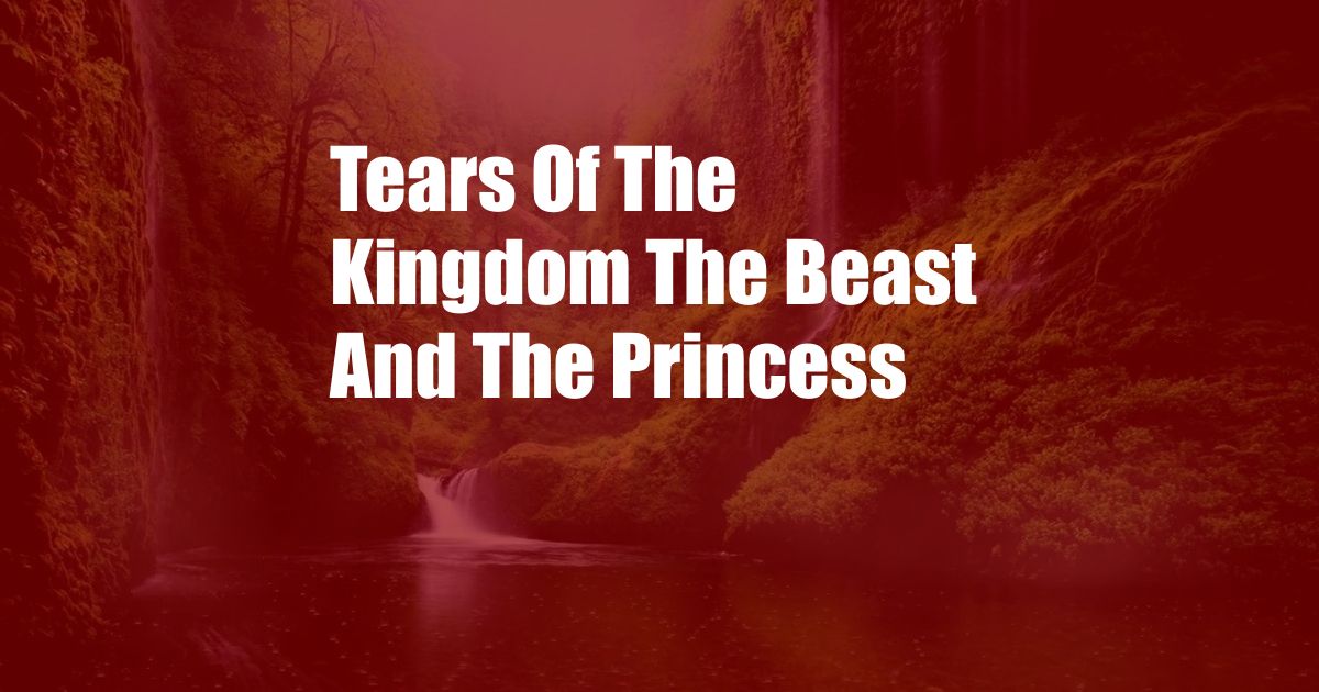 Tears Of The Kingdom The Beast And The Princess