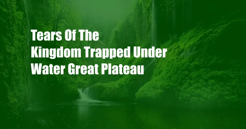 Tears Of The Kingdom Trapped Under Water Great Plateau