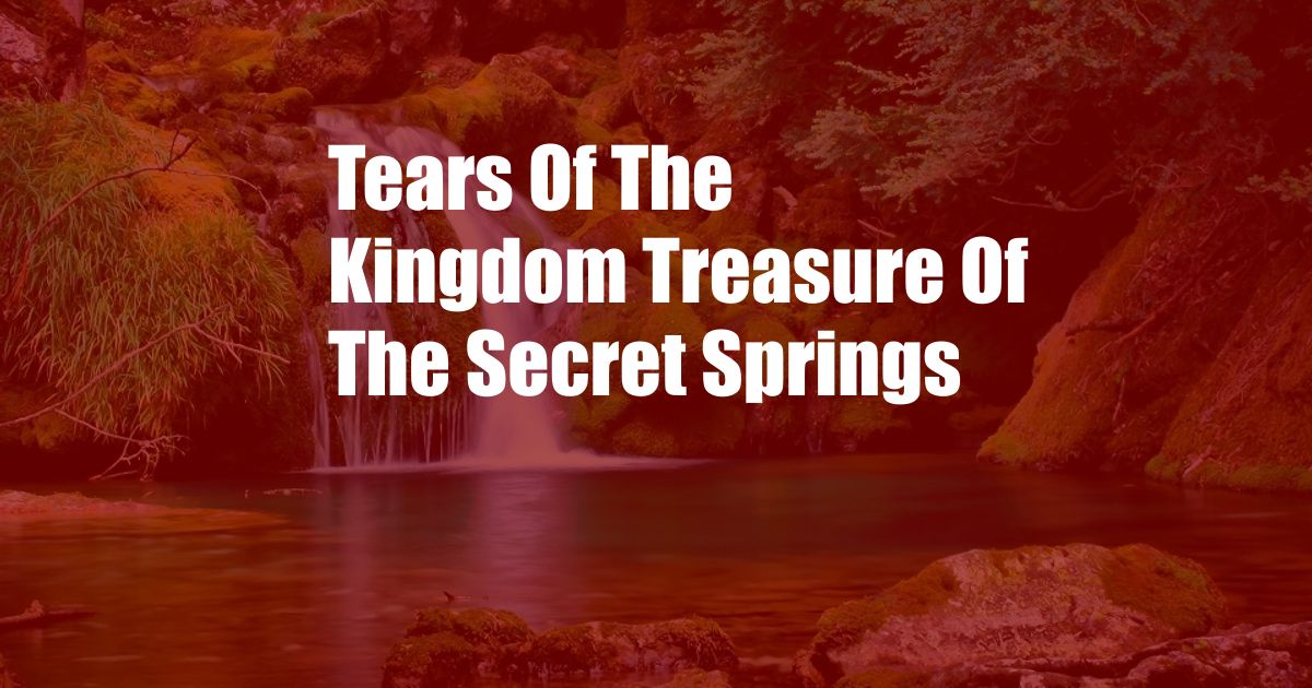 Tears Of The Kingdom Treasure Of The Secret Springs