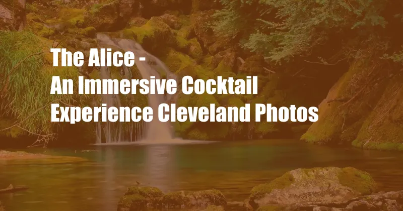 The Alice - An Immersive Cocktail Experience Cleveland Photos