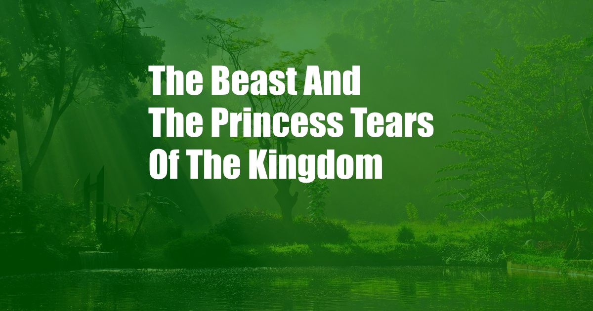 The Beast And The Princess Tears Of The Kingdom