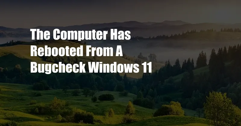 The Computer Has Rebooted From A Bugcheck Windows 11