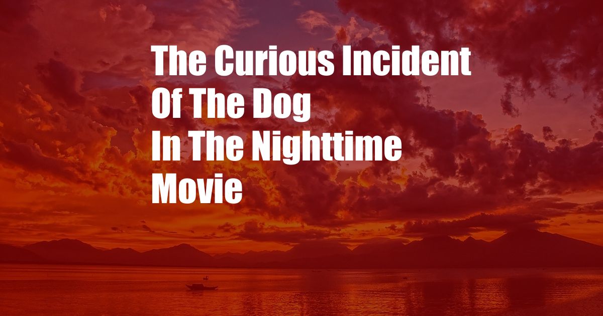 The Curious Incident Of The Dog In The Nighttime Movie