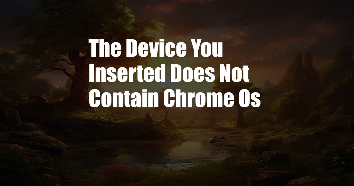 The Device You Inserted Does Not Contain Chrome Os