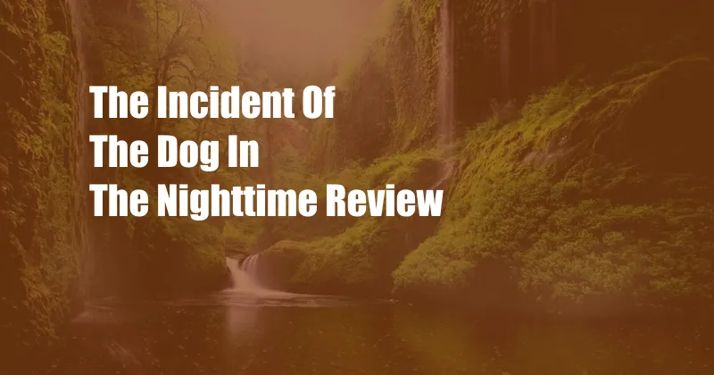 The Incident Of The Dog In The Nighttime Review