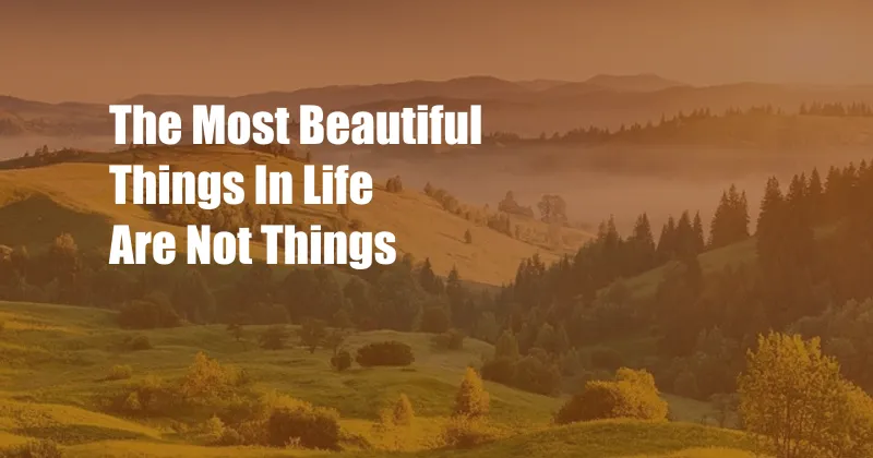 The Most Beautiful Things In Life Are Not Things