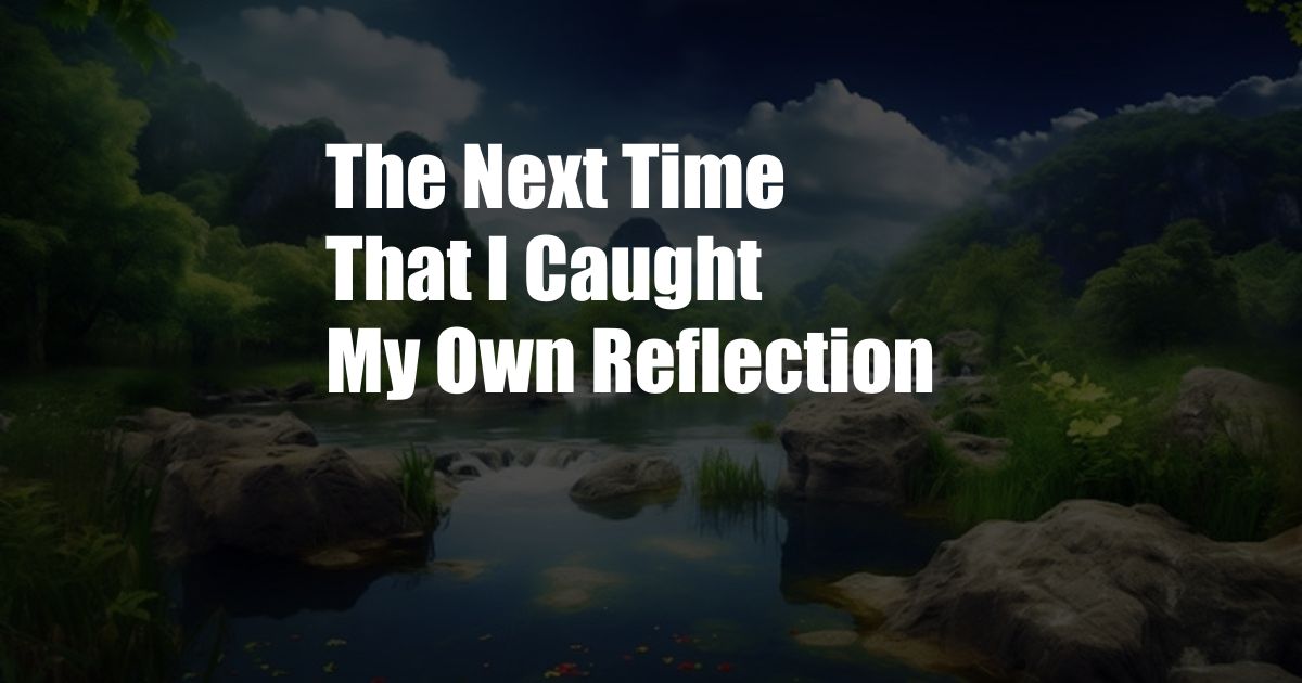 The Next Time That I Caught My Own Reflection