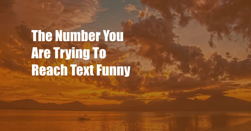 The Number You Are Trying To Reach Text Funny