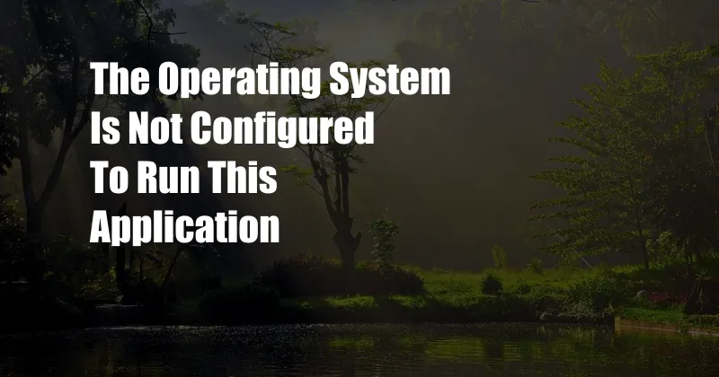 The Operating System Is Not Configured To Run This Application