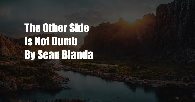 The Other Side Is Not Dumb By Sean Blanda