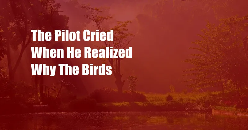 The Pilot Cried When He Realized Why The Birds