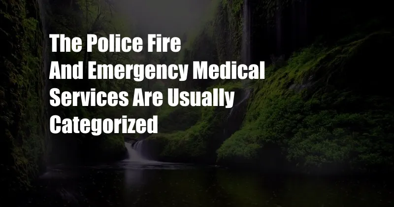 The Police Fire And Emergency Medical Services Are Usually Categorized