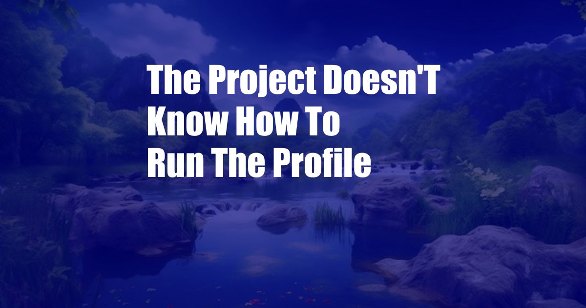 The Project Doesn'T Know How To Run The Profile