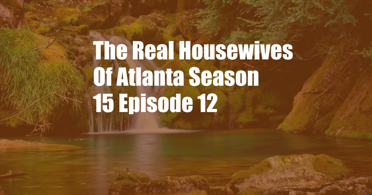 The Real Housewives Of Atlanta Season 15 Episode 12
