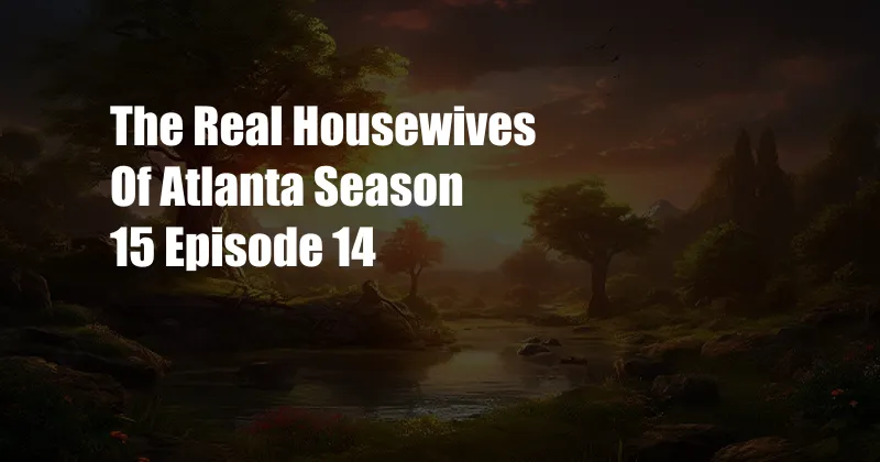 The Real Housewives Of Atlanta Season 15 Episode 14