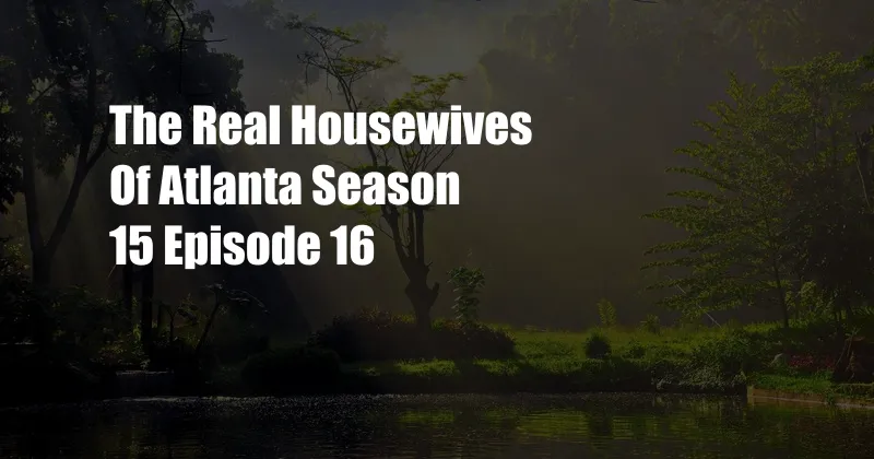 The Real Housewives Of Atlanta Season 15 Episode 16