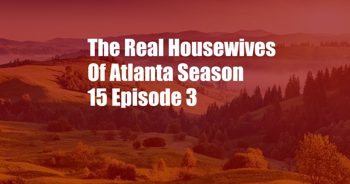 The Real Housewives Of Atlanta Season 15 Episode 3