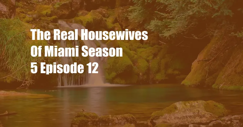 The Real Housewives Of Miami Season 5 Episode 12