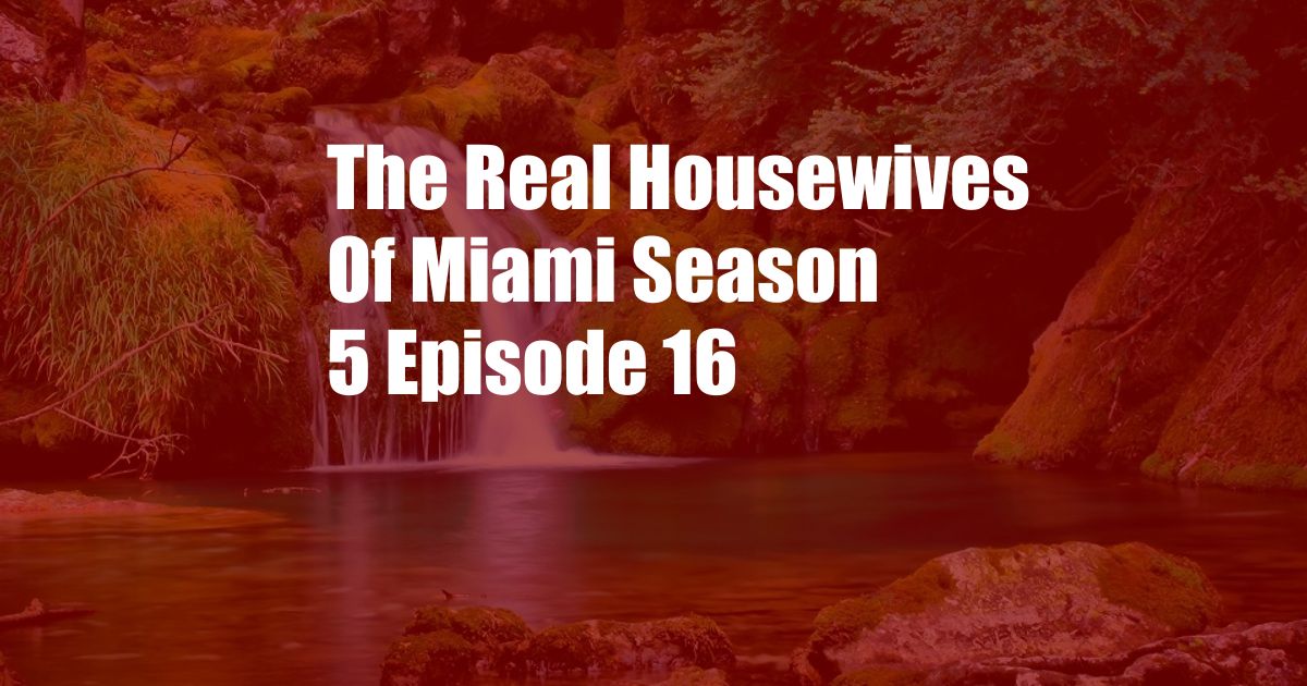 The Real Housewives Of Miami Season 5 Episode 16