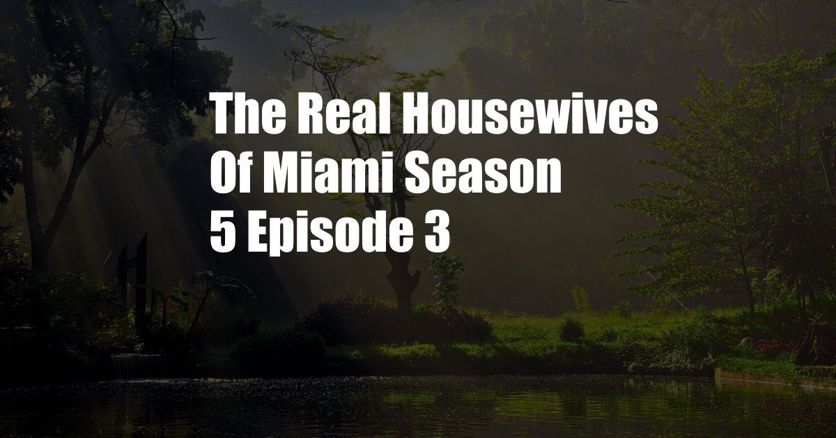 The Real Housewives Of Miami Season 5 Episode 3