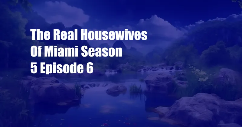 The Real Housewives Of Miami Season 5 Episode 6