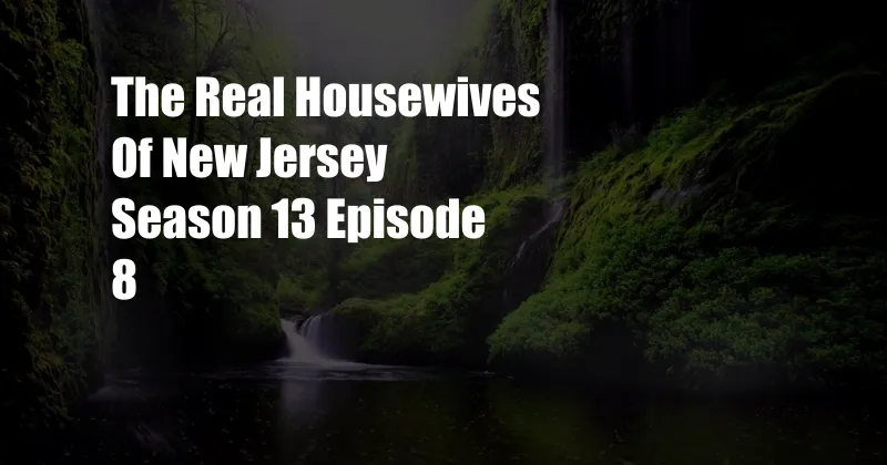 The Real Housewives Of New Jersey Season 13 Episode 8