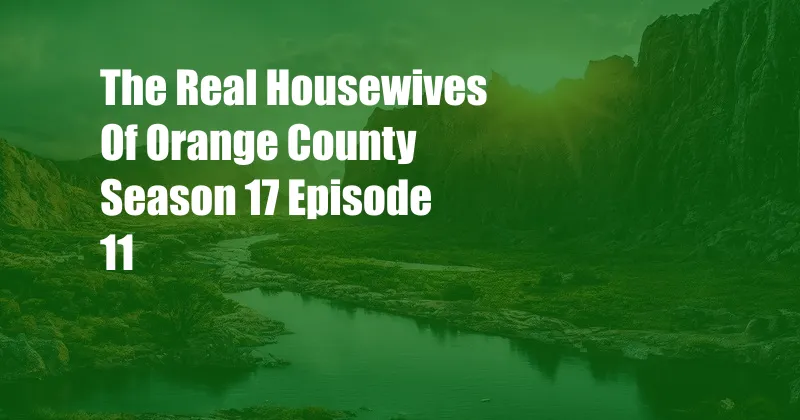 The Real Housewives Of Orange County Season 17 Episode 11