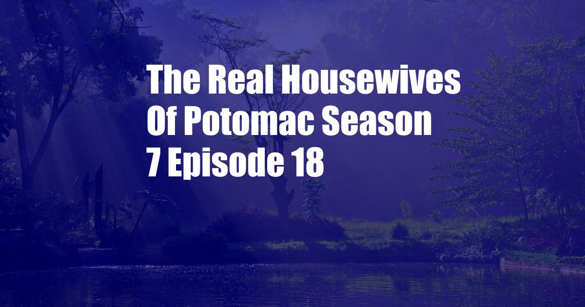 The Real Housewives Of Potomac Season 7 Episode 18