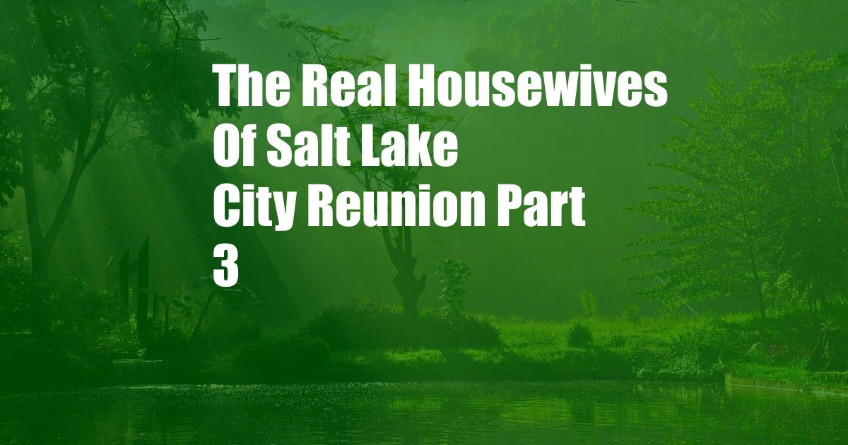 The Real Housewives Of Salt Lake City Reunion Part 3