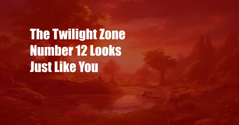 The Twilight Zone Number 12 Looks Just Like You