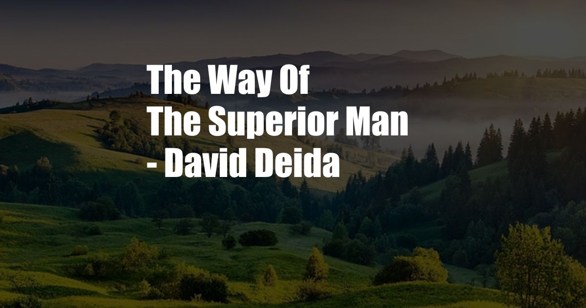 The Way Of The Superior Man - David Deida