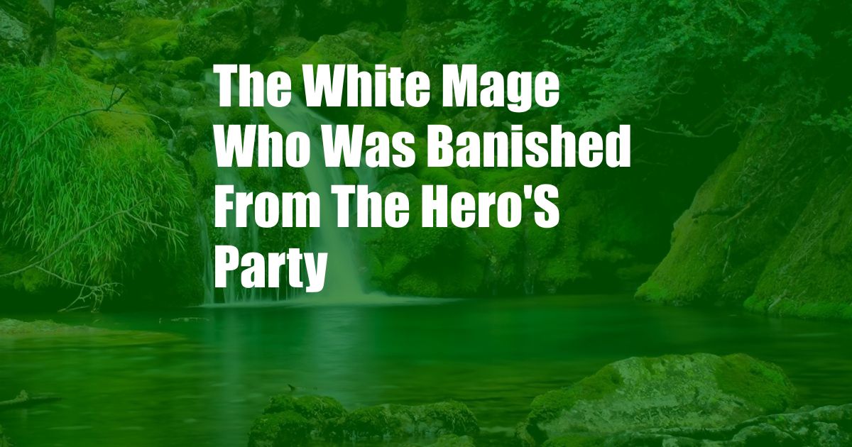 The White Mage Who Was Banished From The Hero'S Party