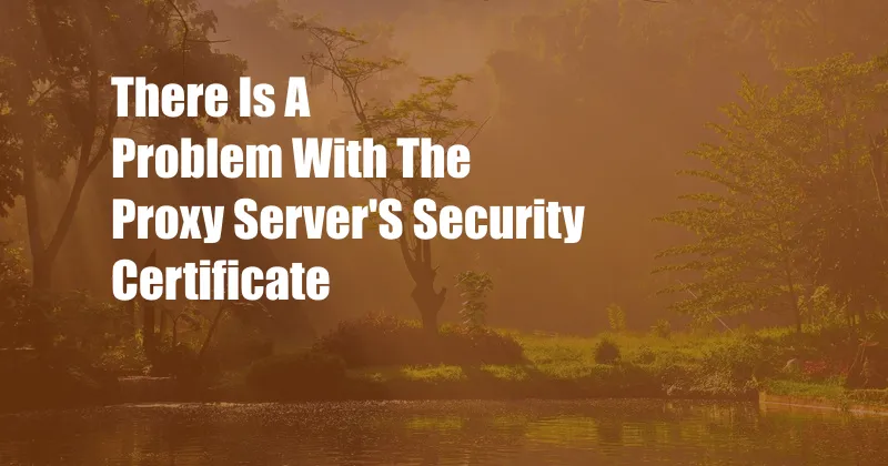 There Is A Problem With The Proxy Server'S Security Certificate