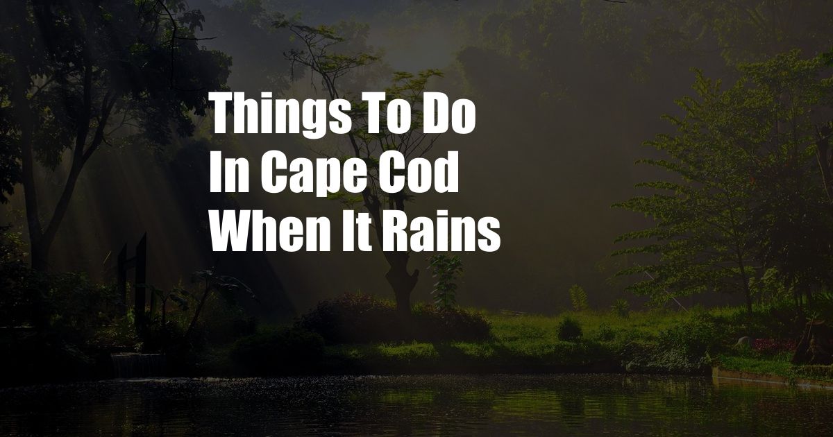 Things To Do In Cape Cod When It Rains