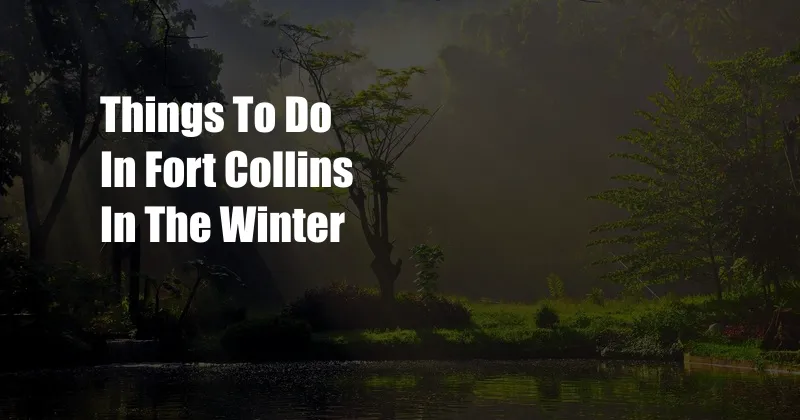 Things To Do In Fort Collins In The Winter