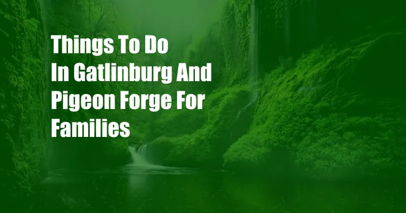 Things To Do In Gatlinburg And Pigeon Forge For Families