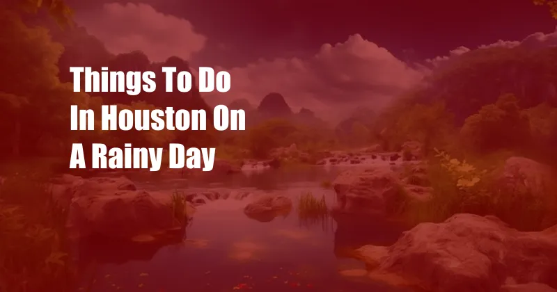 Things To Do In Houston On A Rainy Day