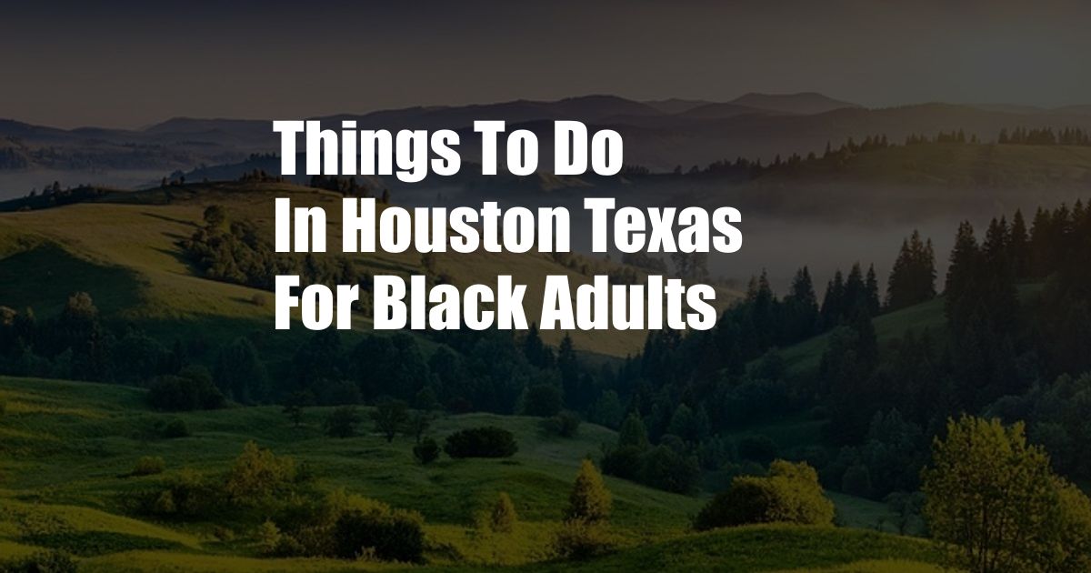 Things To Do In Houston Texas For Black Adults