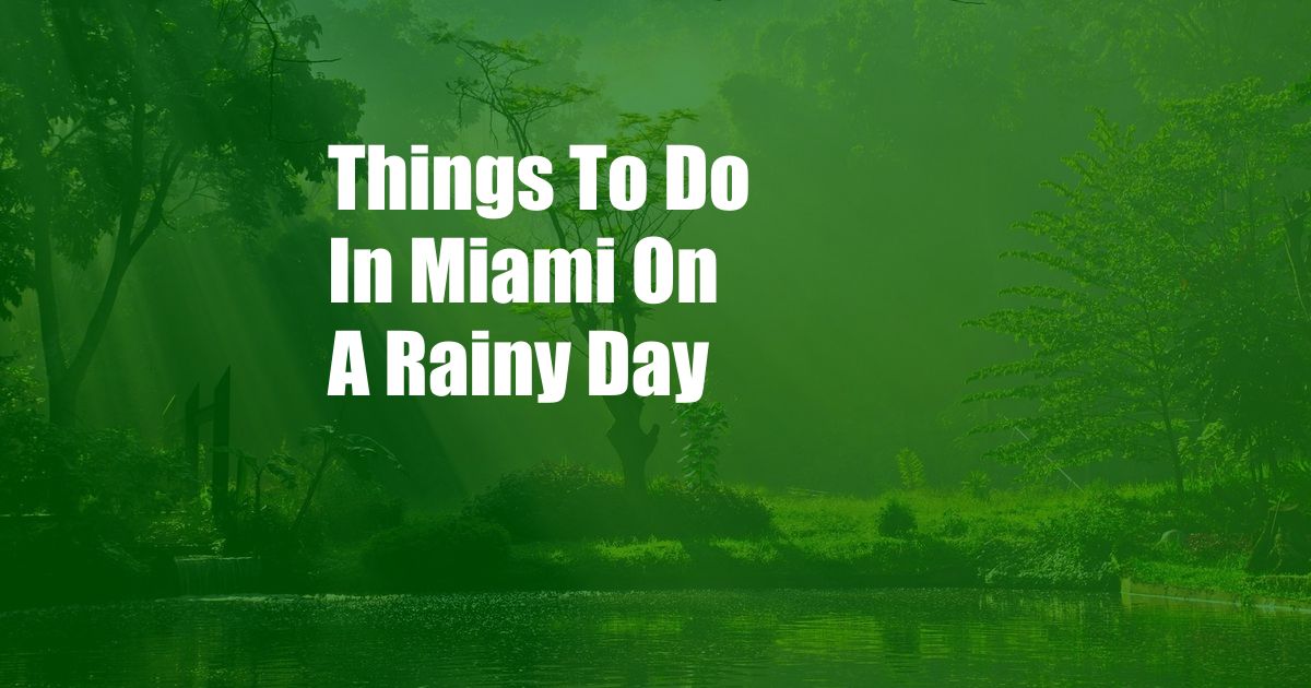 Things To Do In Miami On A Rainy Day