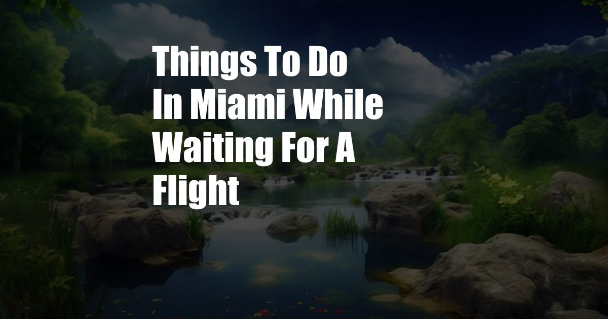 Things To Do In Miami While Waiting For A Flight