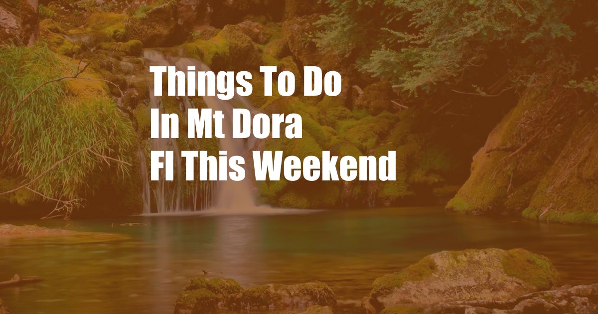 Things To Do In Mt Dora Fl This Weekend