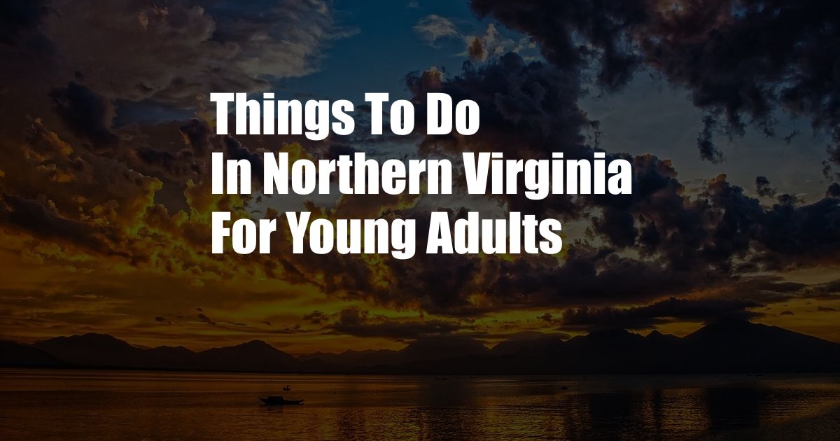 Things To Do In Northern Virginia For Young Adults