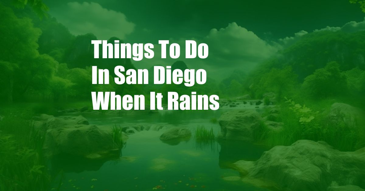 Things To Do In San Diego When It Rains
