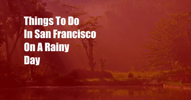 Things To Do In San Francisco On A Rainy Day