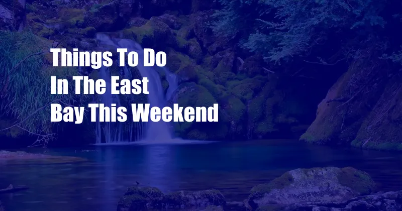 Things To Do In The East Bay This Weekend