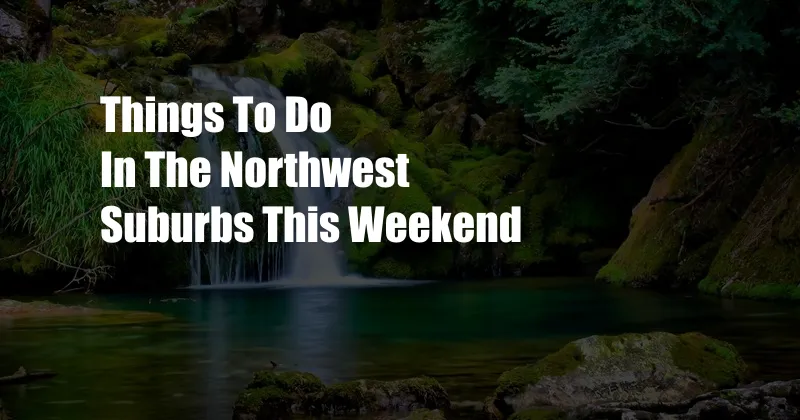 Things To Do In The Northwest Suburbs This Weekend